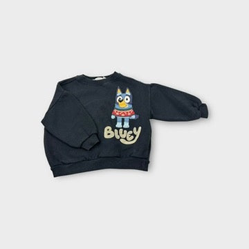 Zara Bluey Sweatshirt Jumper, Size 4-5