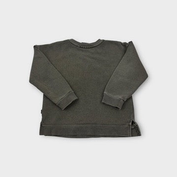 Animal Crackers Raccoon Jumper, Size 3