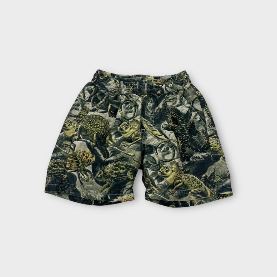Paper Wings Lizard Shorts, Size 3