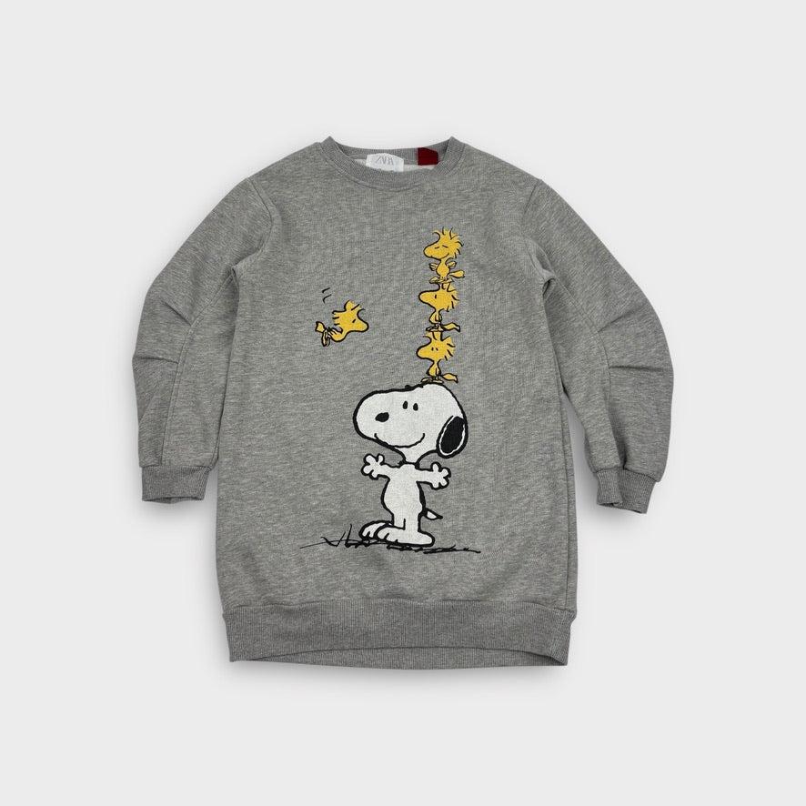 Zara Snoopy Jumper Dress, Size 10