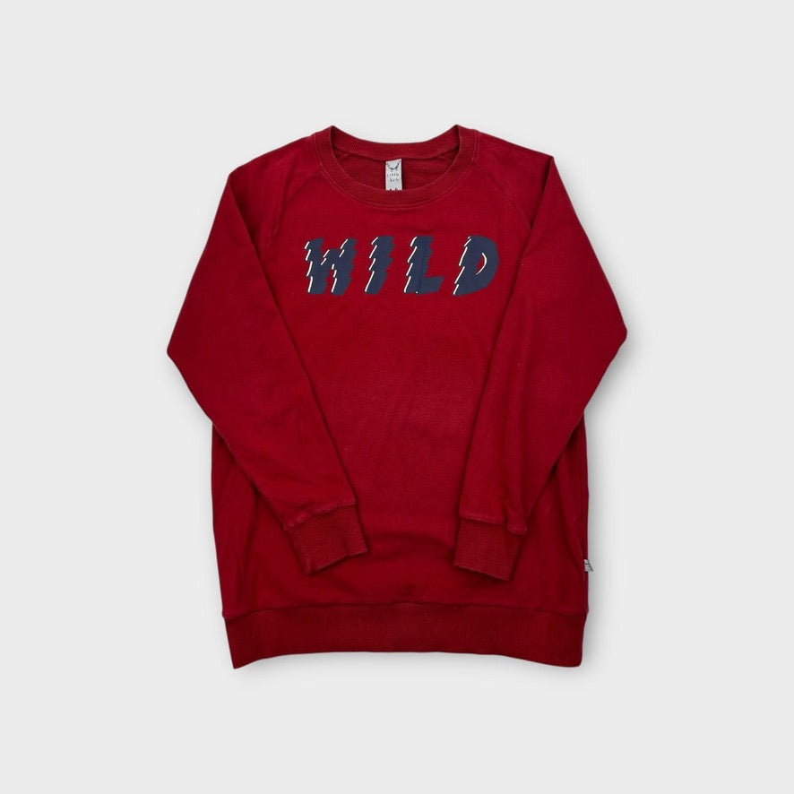 Little Horn Red Jumper, Size 14