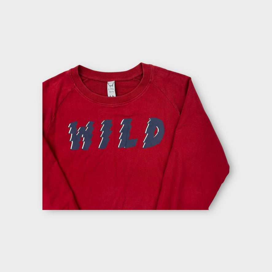 Little Horn Red Jumper, Size 14