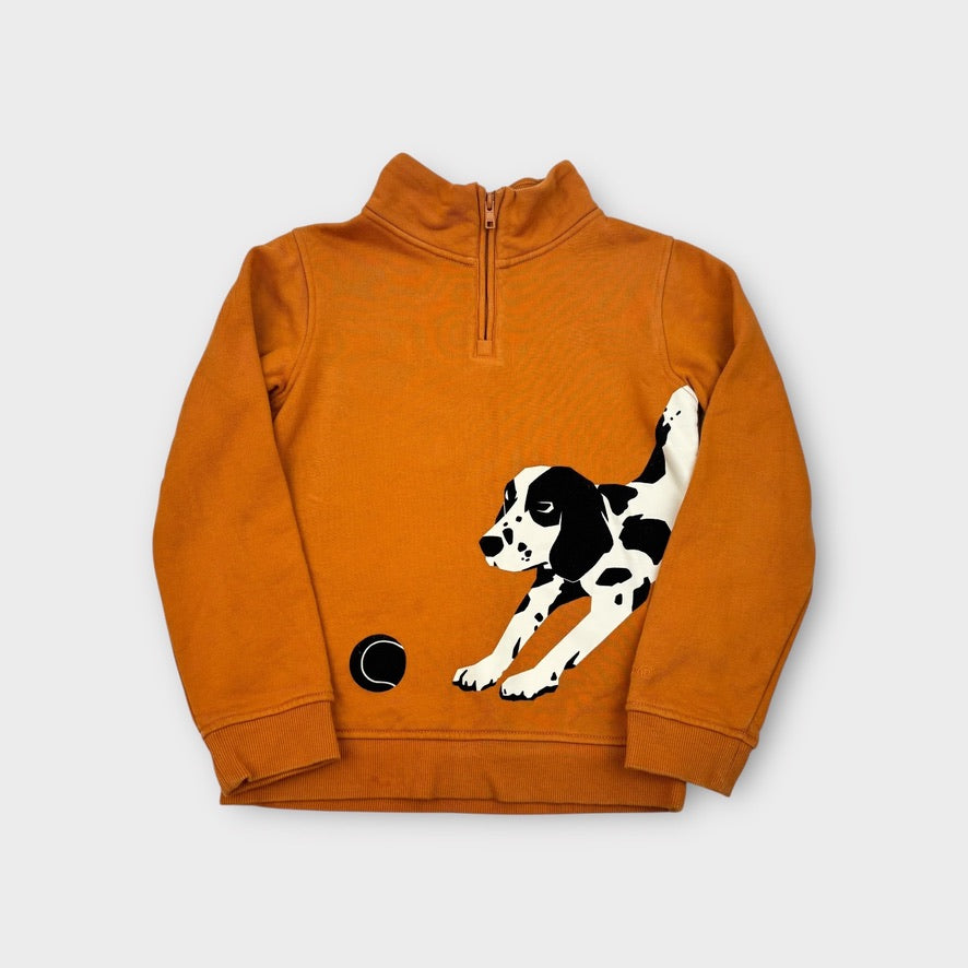 Country Road Dog Jumper, Size 8