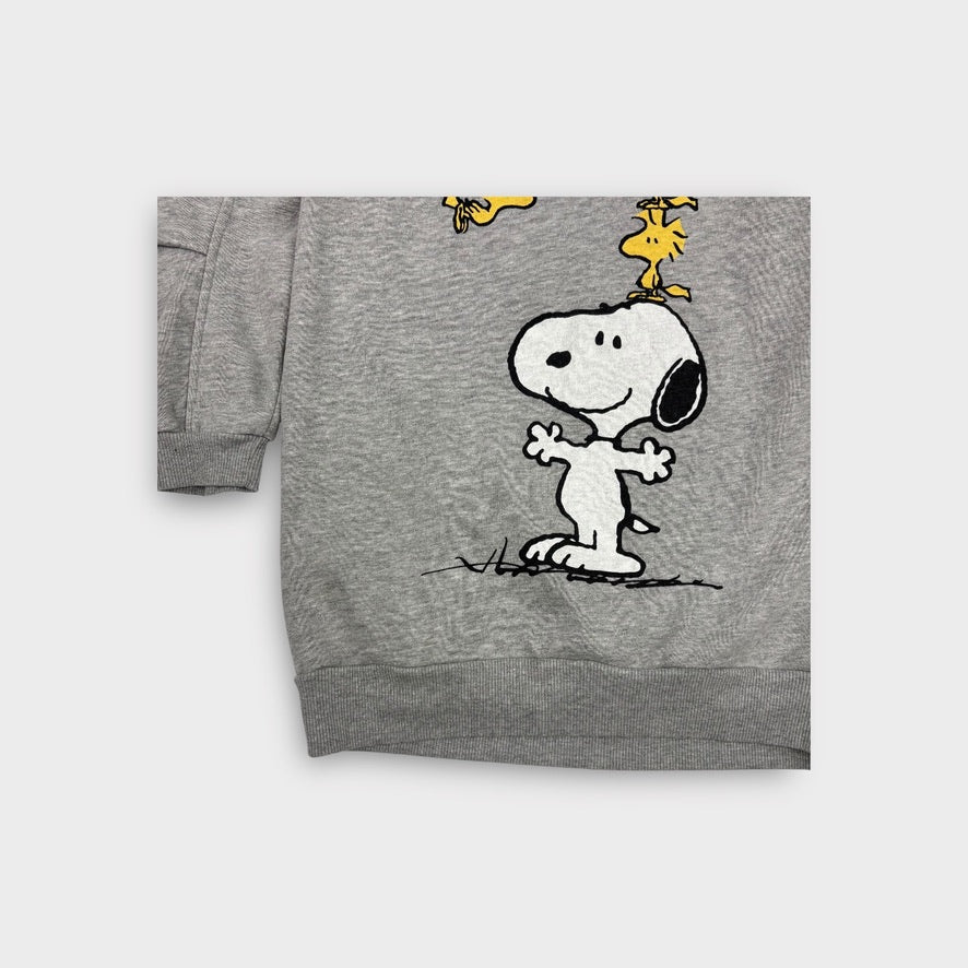 Zara Snoopy Jumper Dress, Size 10