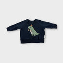Hux Baby DIno Jumper, Size 00