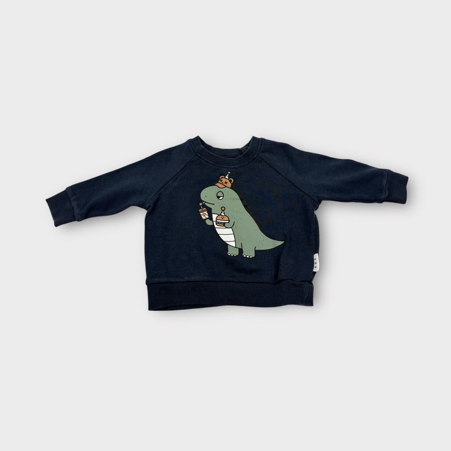 Hux Baby DIno Jumper, Size 00