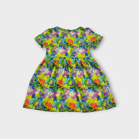 Cheeky Chickadee Chameleon Dress, Size 5