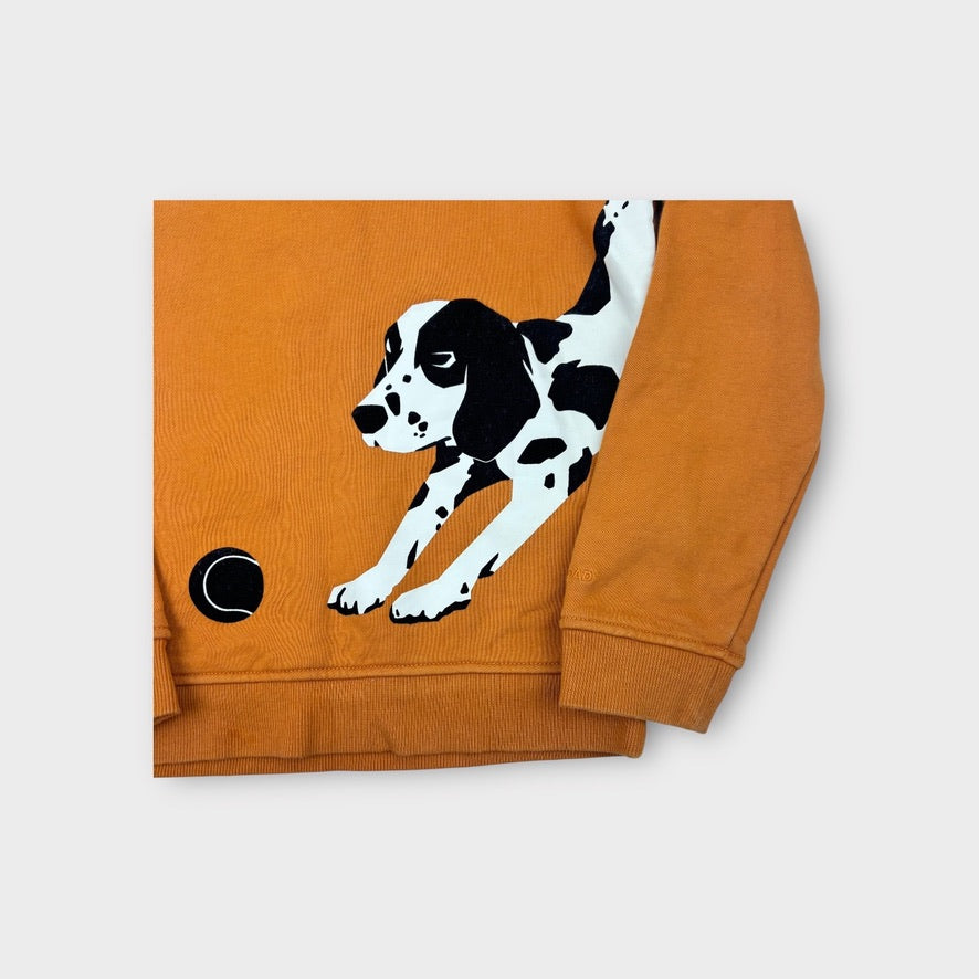 Country Road Dog Jumper, Size 8