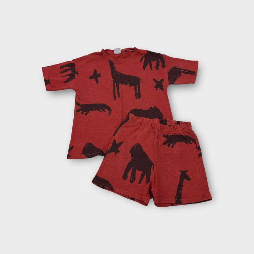 Zara Animal Top and Short Set, Size 4-5
