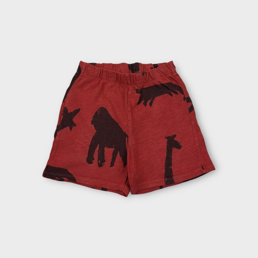 Zara Animal Top and Short Set, Size 4-5