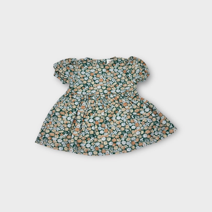 Seed Heritage Floral Dress and Bloomer Set, Size 000