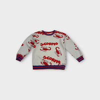 Mini Rodini Scorpio Jumper, Size 6