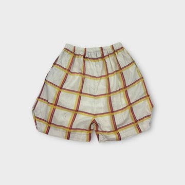 The Animal Observatory Check Shorts, Size 12