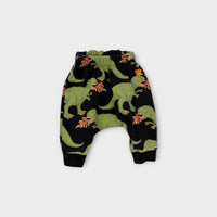 Rock Your Baby Dinosaur Track Pant Set, Size 000