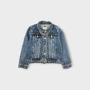 Levis Denim Jacket, Size 6