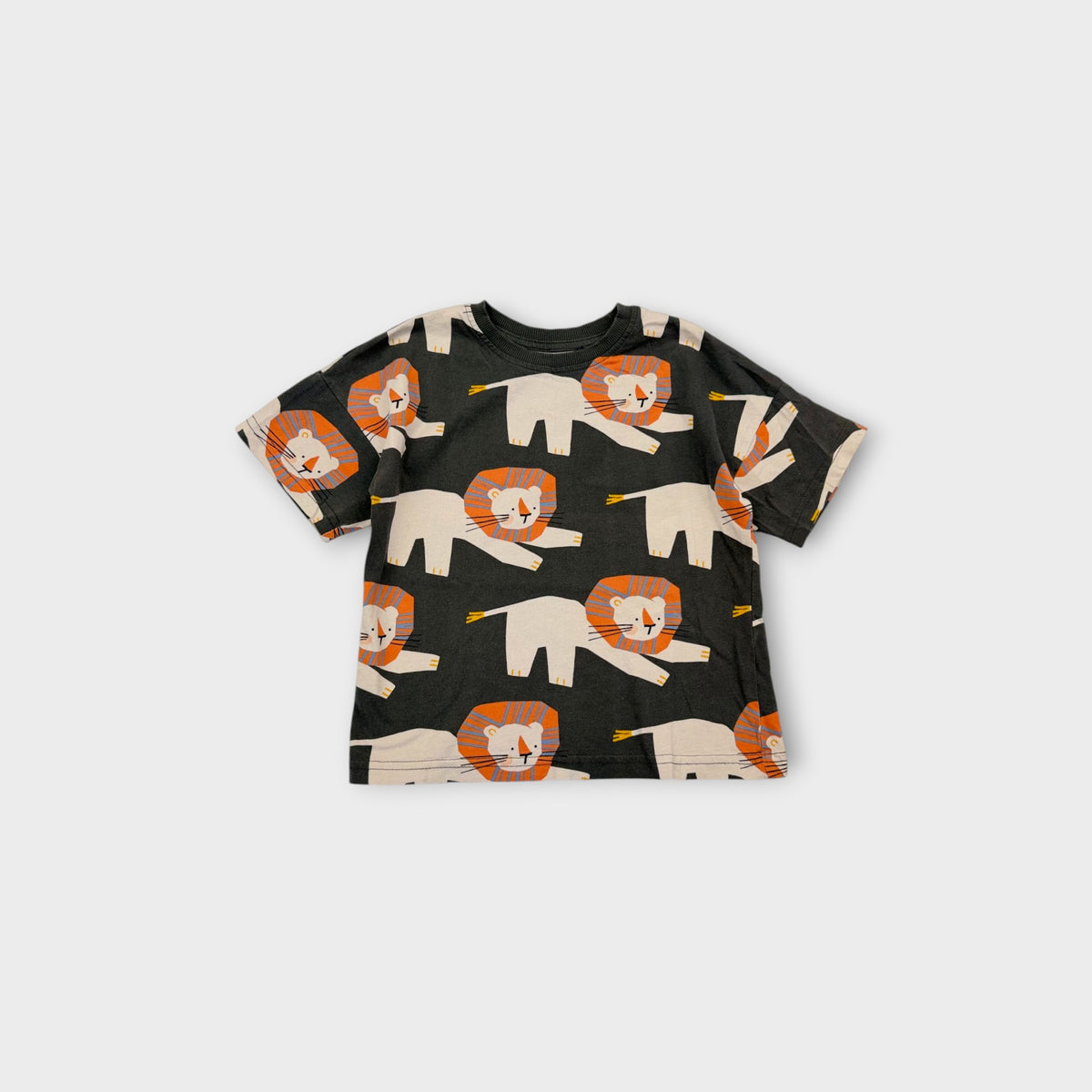 Grey & Orange Lion T-Shirt, Size 3-4