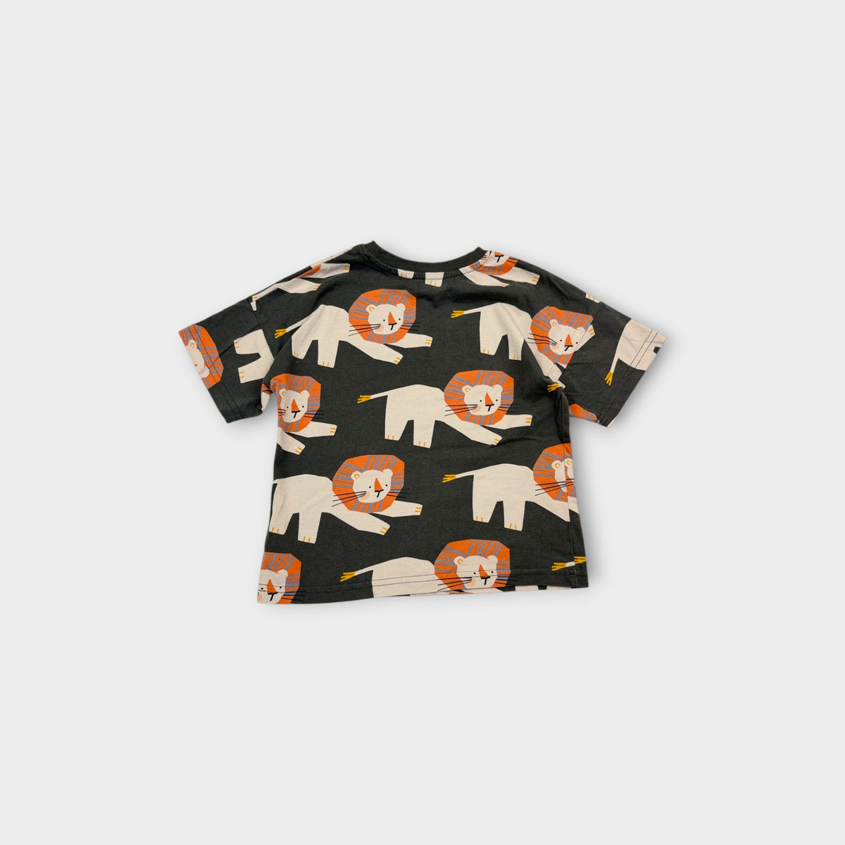 Grey & Orange Lion T-Shirt, Size 3-4