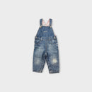 Earthchild Denim Overalls, Size 0