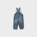 Earthchild Denim Overalls, Size 0