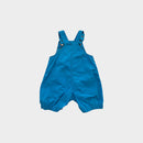 Retro Cookie Monster Overalls, Size 00