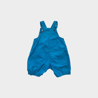 Retro Cookie Monster Overalls, Size 00