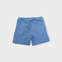 Homegrown Railway Shorts, Size 5