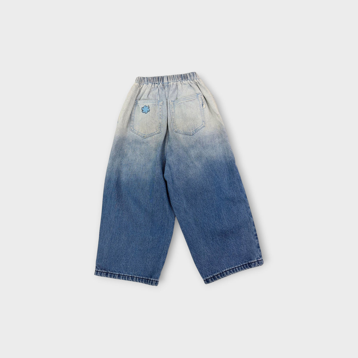 Lenn Label Ombre Wide Jeans, Size 6