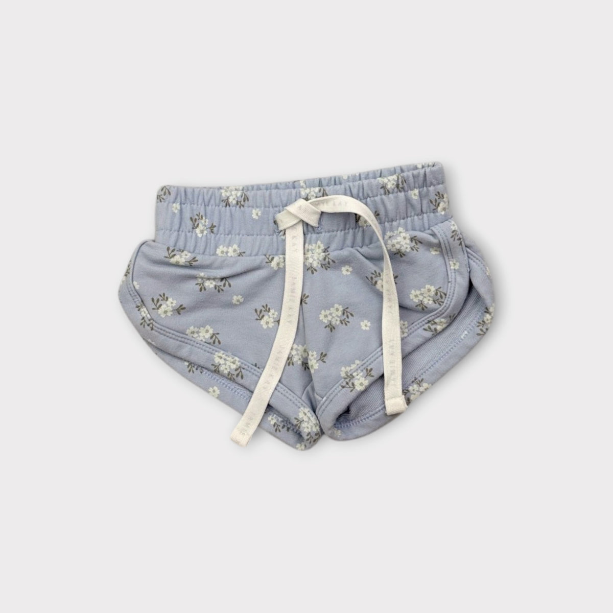 Jamie Kay Blue Floral Shorts, Size 0