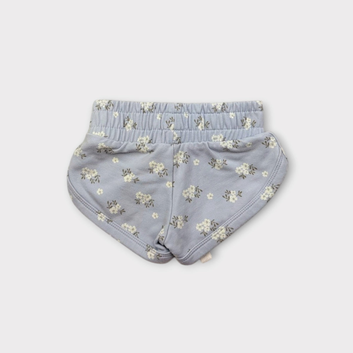 Jamie Kay Blue Floral Shorts, Size 0