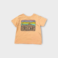 Patagonia Peach Logo T-Shirt, Size TBC