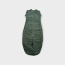 ErgoPouch 2.5 Tog Sleep Suit Bag, Size 2-4