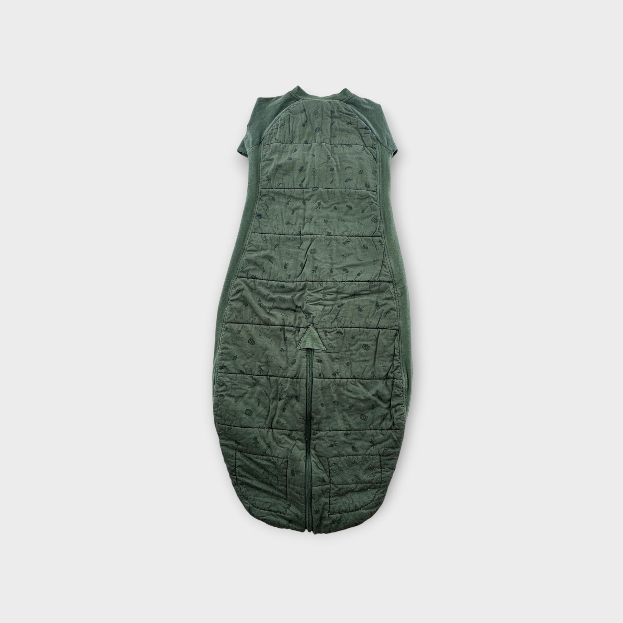 ErgoPouch 2.5 Tog Sleep Suit Bag, Size 2-4