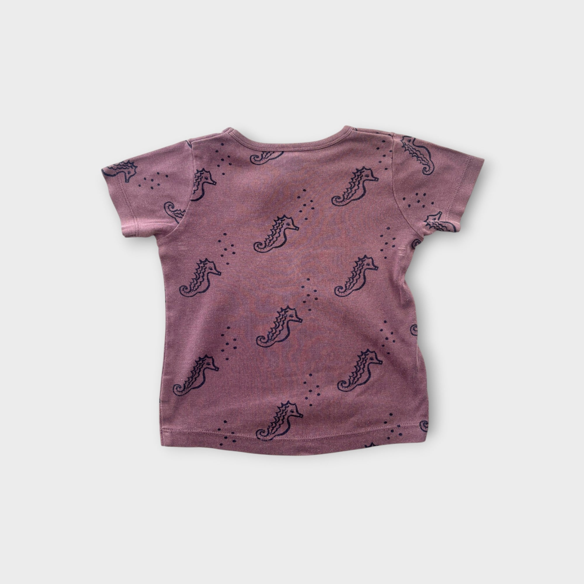 Nature Baby Seahorse T-Shirt, Size 1