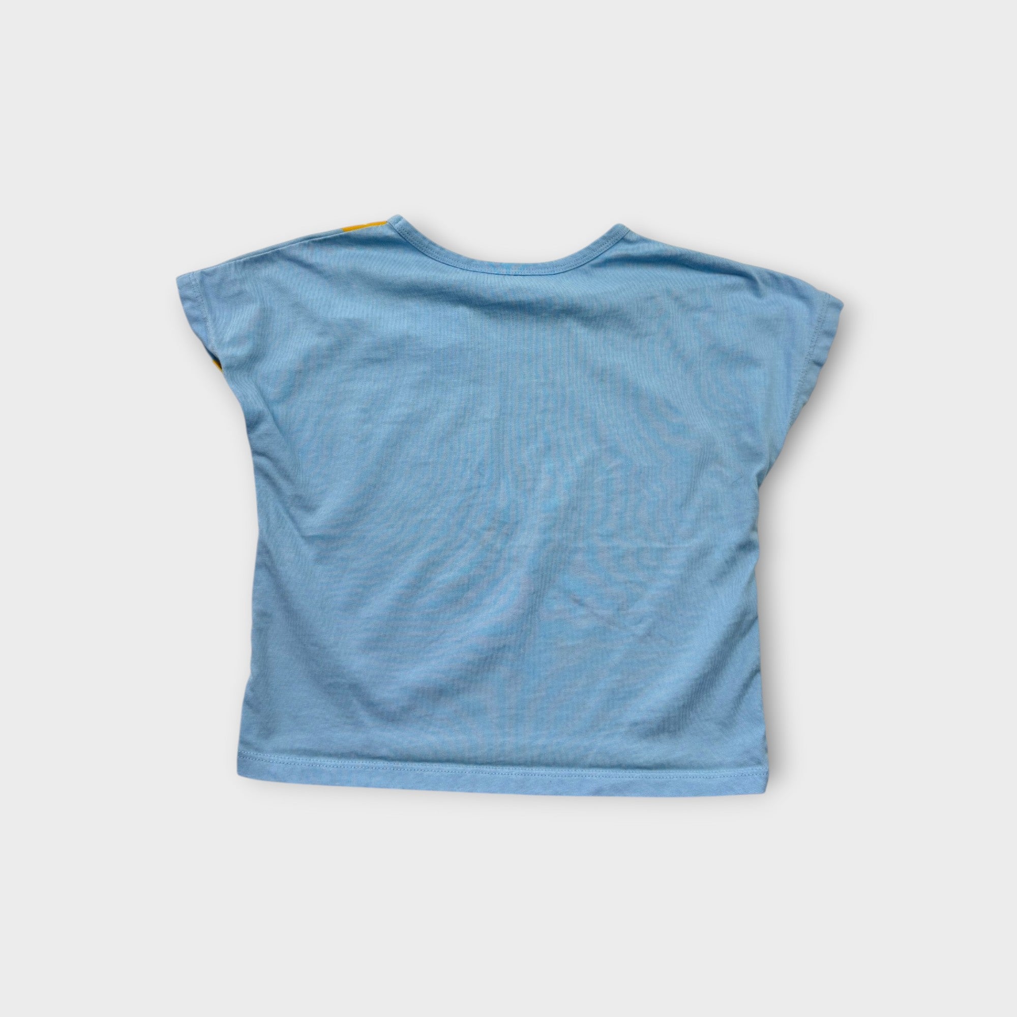 Gorman Playground Dinosaur T-Shirt, Size 2-3