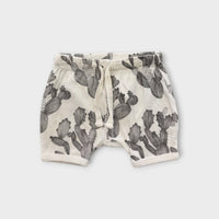 Wilson & Frenchy Cactus Shorts, Size 00
