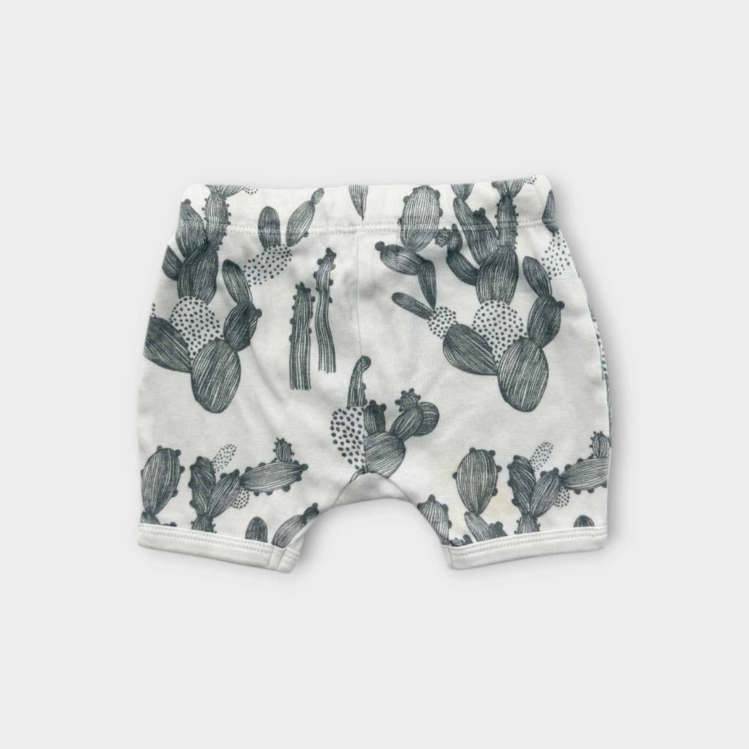 Wilson & Frenchy Cactus Shorts, Size 00