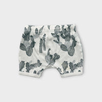 Wilson & Frenchy Cactus Shorts, Size 00