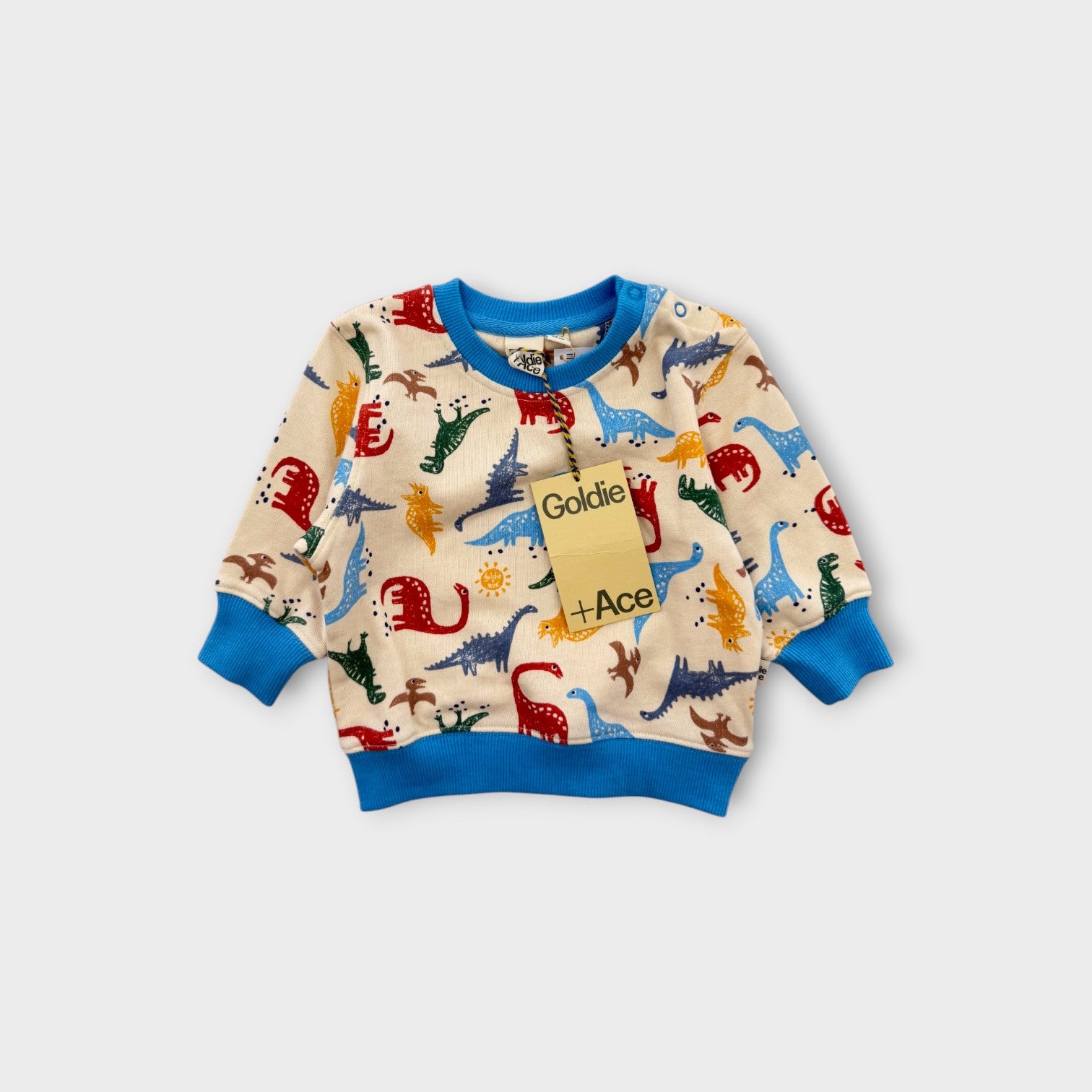 Goldie & Ace Dinosaur Jumper, Size 00