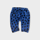 Seed Heritage Dot Sweat Pants, Size 00