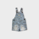 Oshkosh B'Gosh Floral Stripe Overalls, Size 3