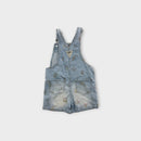 Oshkosh B'Gosh Floral Stripe Overalls, Size 3
