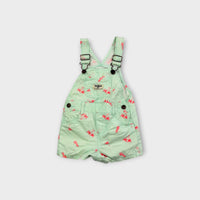 Oshkosh B'Gosh Palm Tree Overalls, Size 0