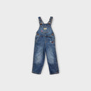 Oshkosh B'Gosh Embroidered Overalls, Size 2
