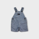 Oshkosh B'Gosh Stripe Seersucker Overalls, Size 00