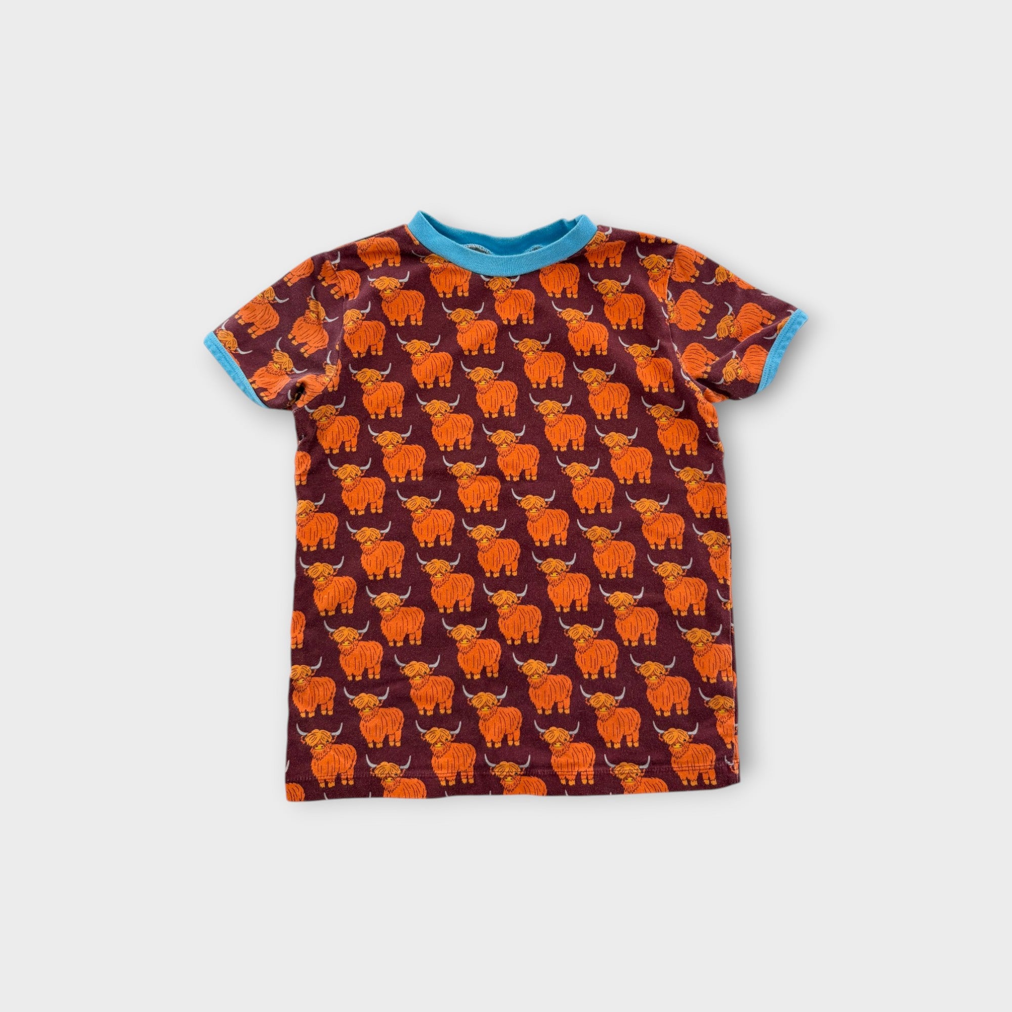 beb & ooo Highland Cows T-Shirt, Size 7