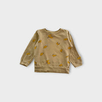 Nature Baby Leaf Print Pullover, Size 3