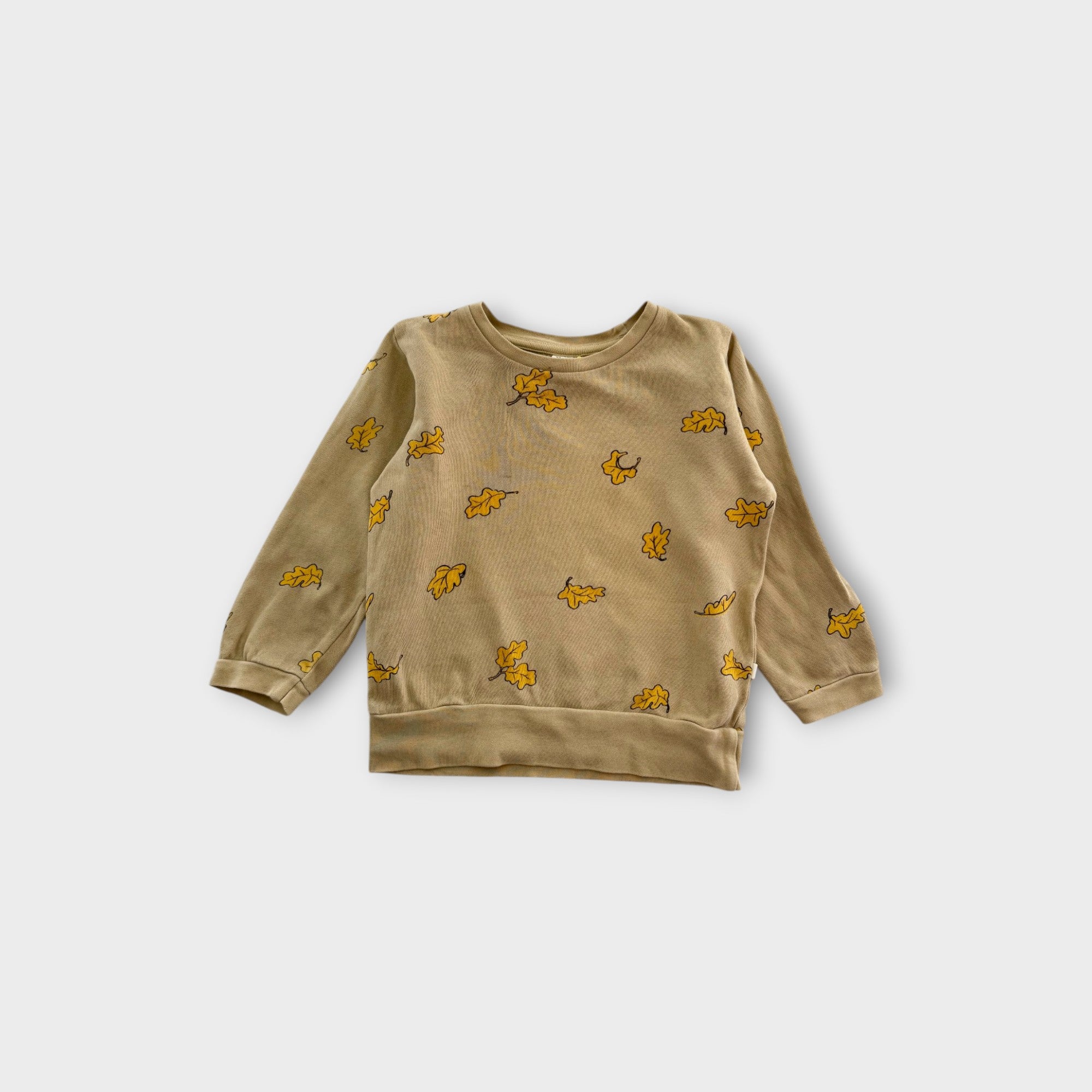 Nature Baby Leaf Print Pullover, Size 3