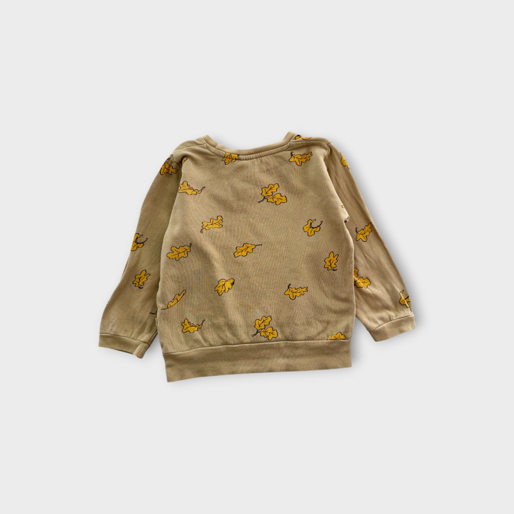 Nature Baby Leaf Print Pullover, Size 3
