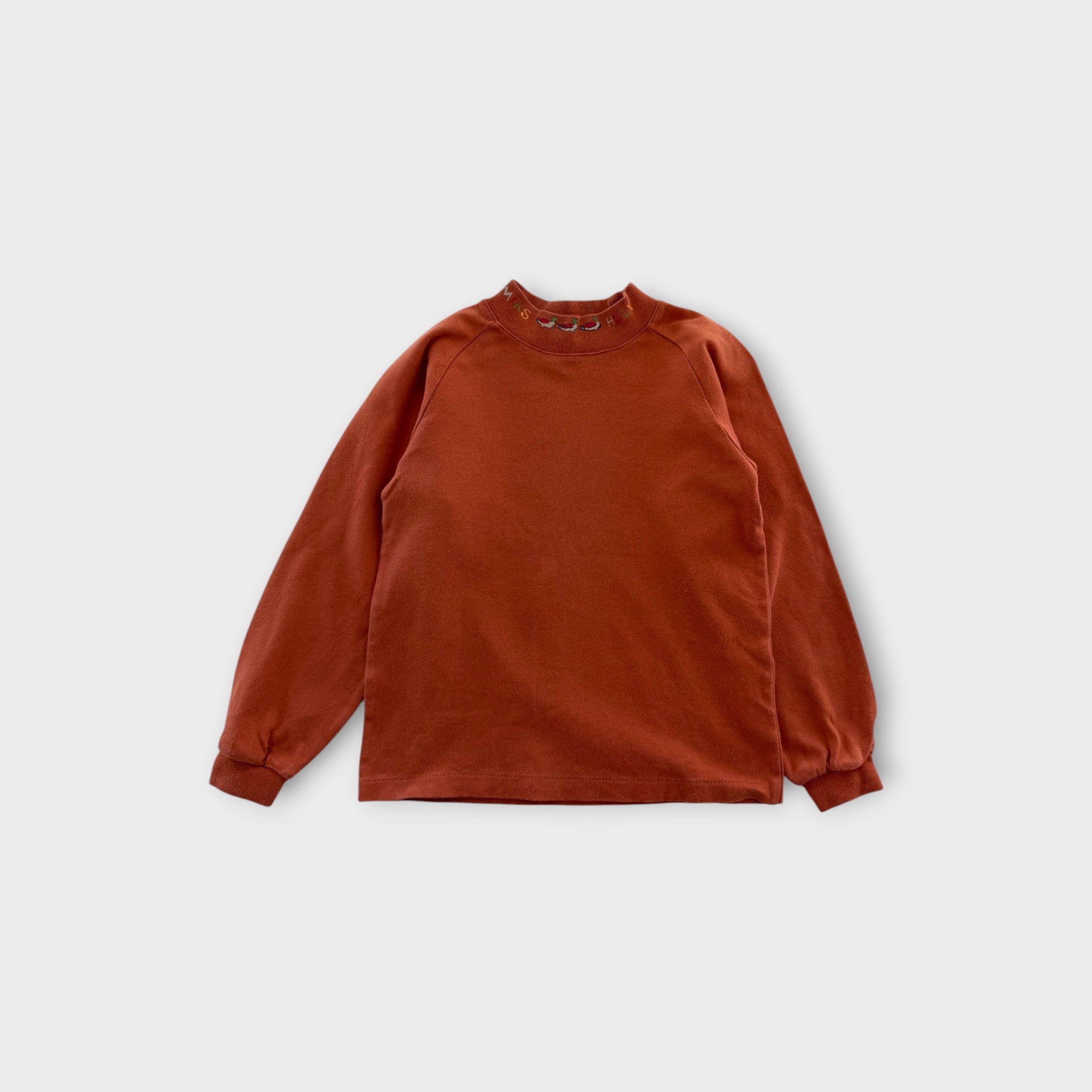Rust Ducks Turtleneck, Size 7-8