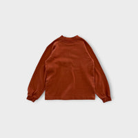 Rust Ducks Turtleneck, Size 7-8